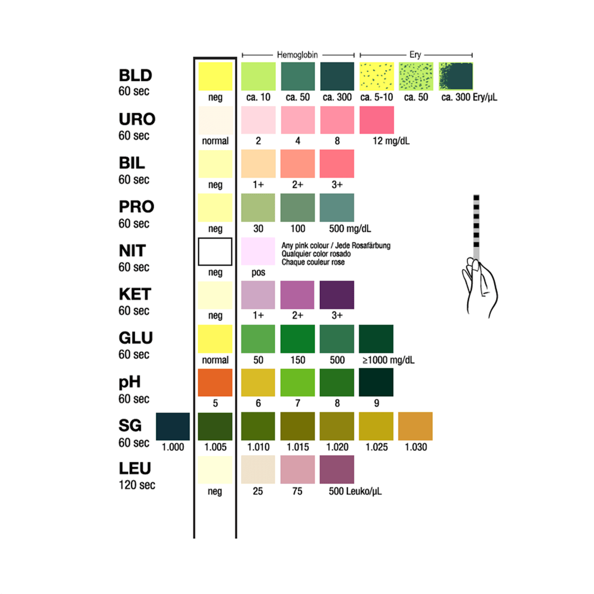 Test-it 10 - Full Panel Urine Test Strips - Omninela