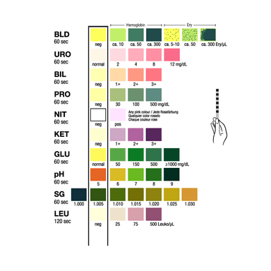 Test-it 10 - Full Panel Urine Test Strips - Omninela