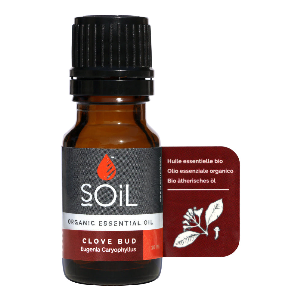 SOiL Essential Oil - Clove Bud - 10ml