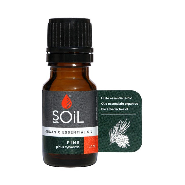 SOiL Essential Oil - Pine - 10ml