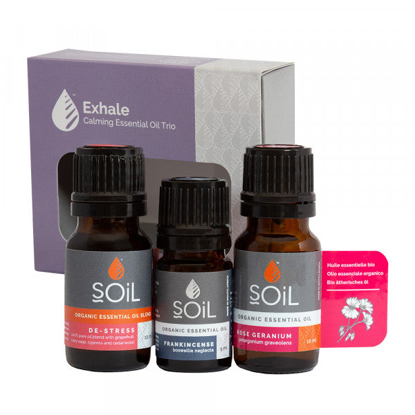 SOiL Exhale Essential Oil Trio Box - 1 Pack