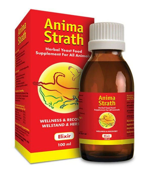 Anima - Strath Elixir 100 ml - Omninela.co.za