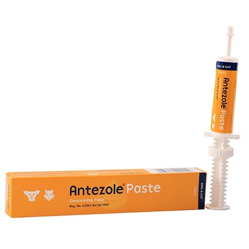 Antezole Dog & Cat Deworming Paste - 15ml - Omninela.co.za