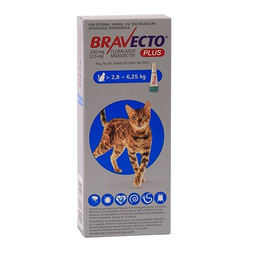 Bravecto Plus For Cats Medium 250 mg - Omninela.co.za