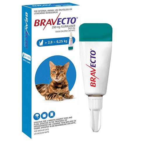 Bravecto Spot - On Cat Medium 250 mg - Omninela.co.za