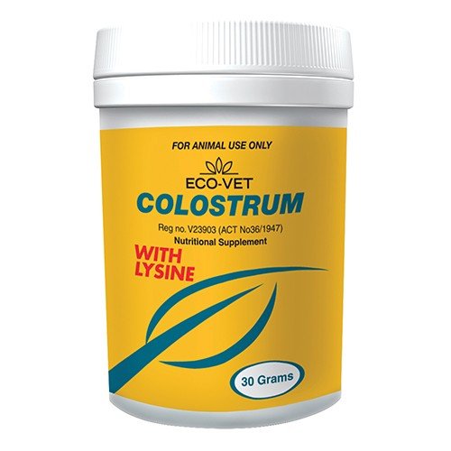 Colostrum Health Supplement - 30g - Omninela.co.za