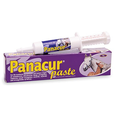 panacur-oral-dewormer-paste-for-horses-up-to-600kg-great-empire-24g