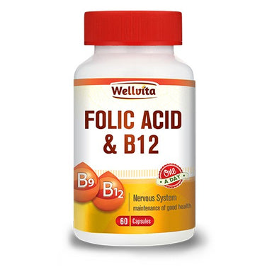 wellvita-folic-acid-b12-capsules-60