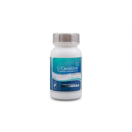 l carnitine fumarate side effects Can L-Carnitine Fumarate Support Energy Levels for Long COVID and ME/CFS Patients?
