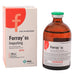 forray-6500-ml
