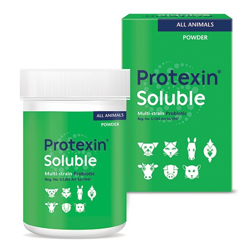 kyron-protexin-soluble-powder-60g