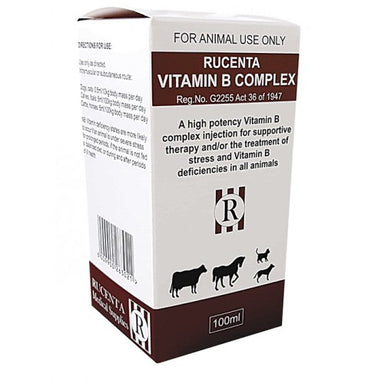 rucenta-vitamin-b-complex-injectable-100-ml